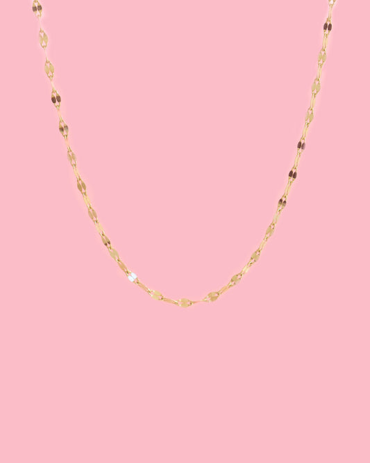 PVLA | 14K Solid Gold Double Mirror Dainty Choker Chain Necklace | 2.0mm